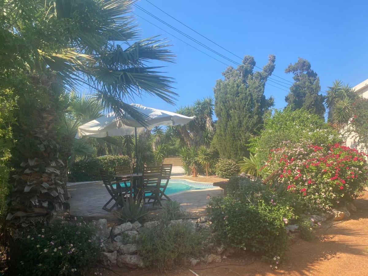 Konnos Villa Protaras Exteriér fotografie