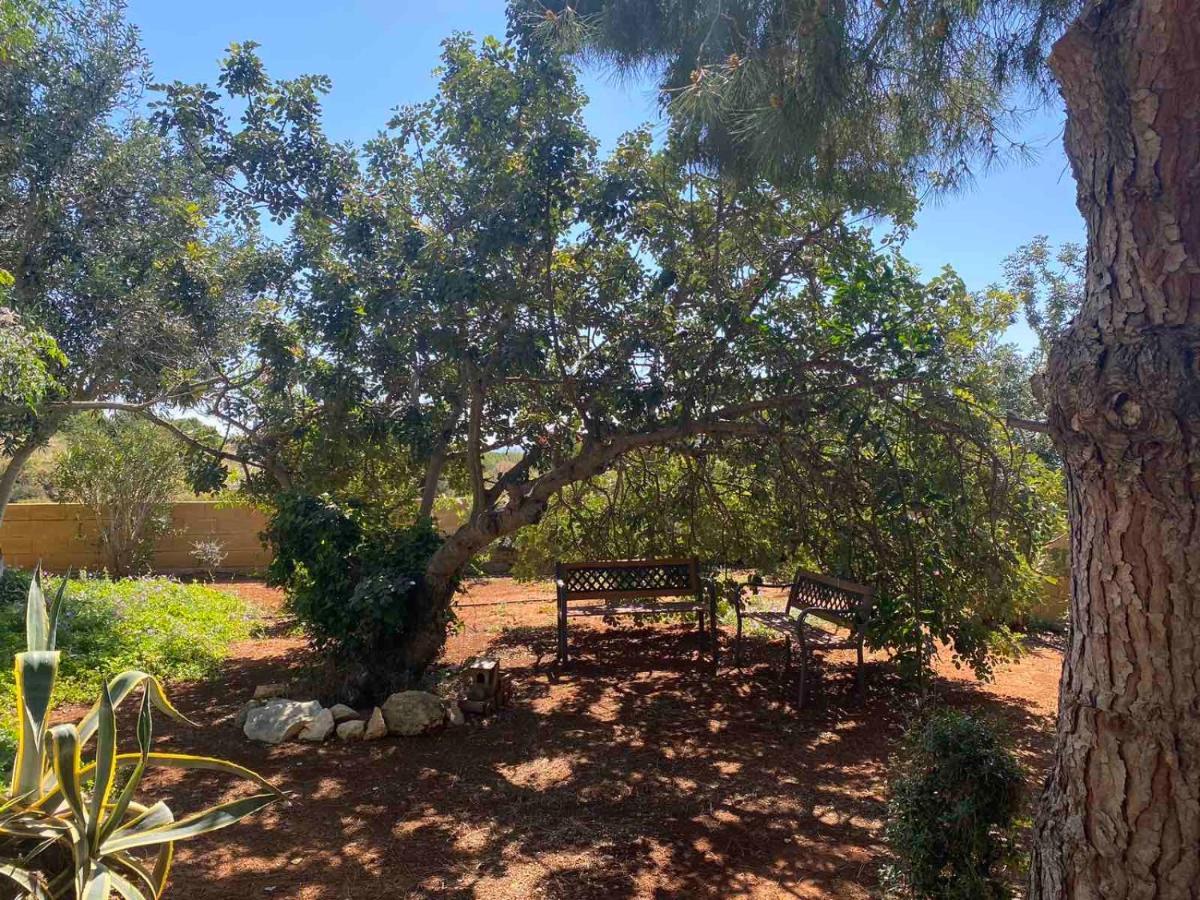 Konnos Villa Protaras Exteriér fotografie