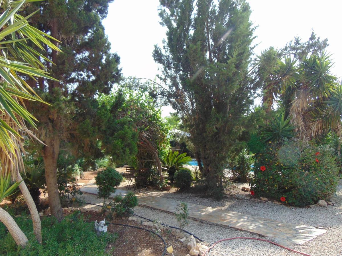 Konnos Villa Protaras Exteriér fotografie